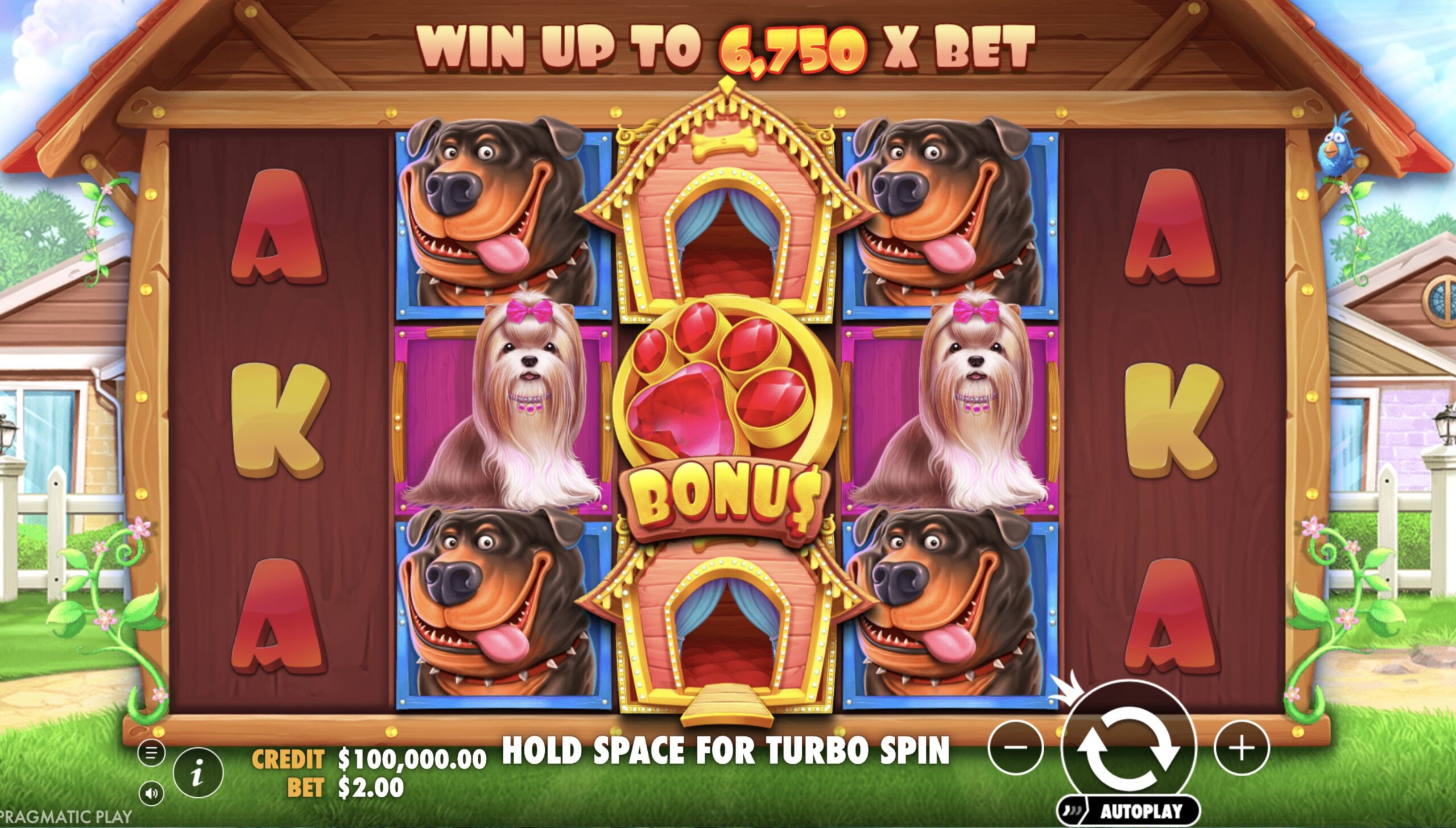 RTP and volatility analysis in The Dog House Megaways