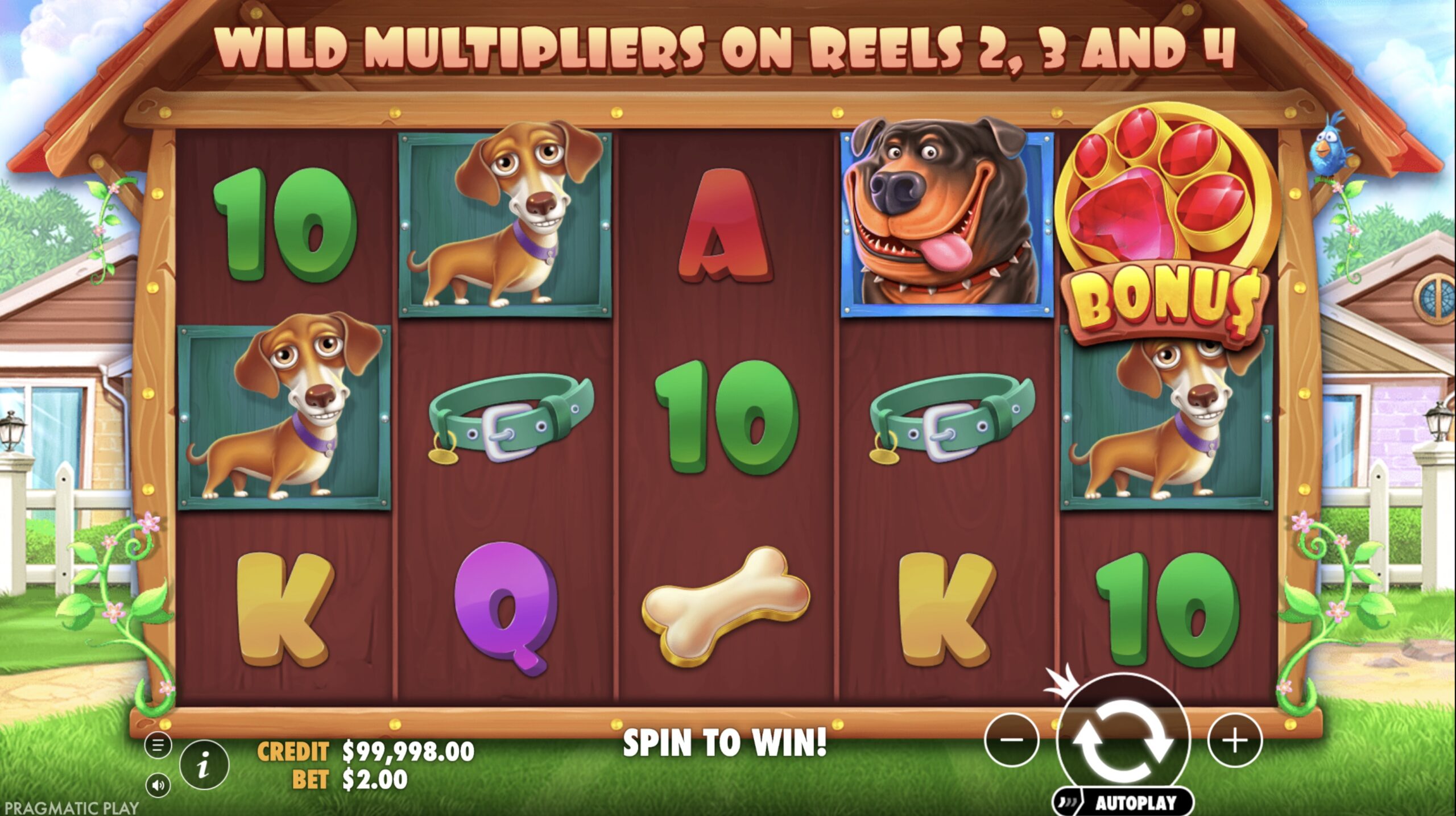 free spins feature with multipliers in Dog House Megaways