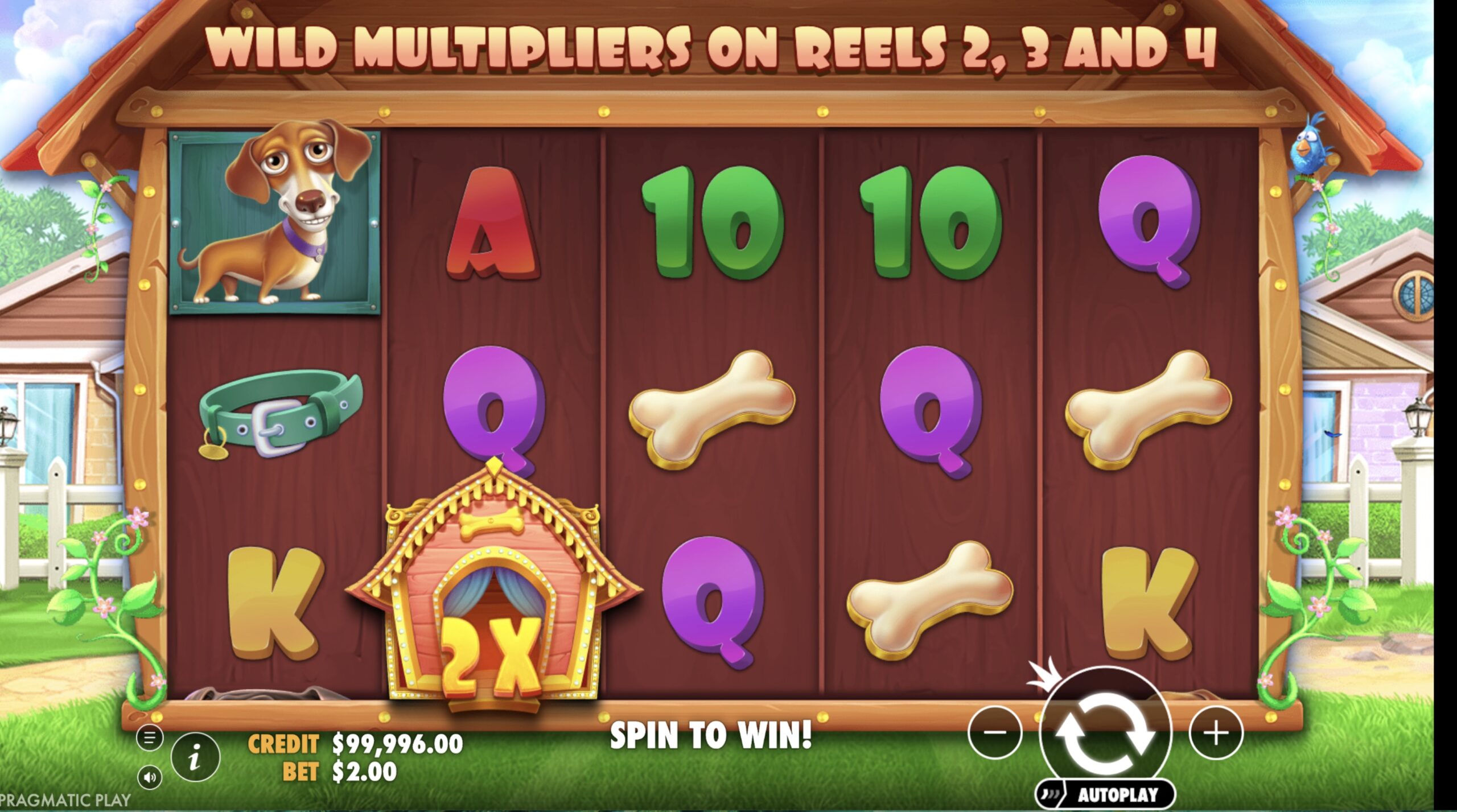 gameplay strategy in Dog House Megaways slot by Pragmatic Play